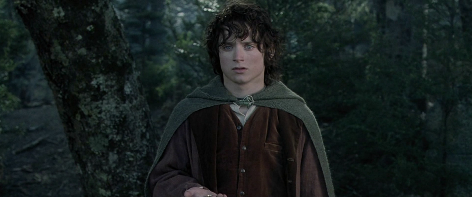 Принц из властелина колец. Элайджа Вуд Фродо. Властелин колец братство кольца Фродо. Элайджа Вуд Властелин колец. Хоббит Фродо.
